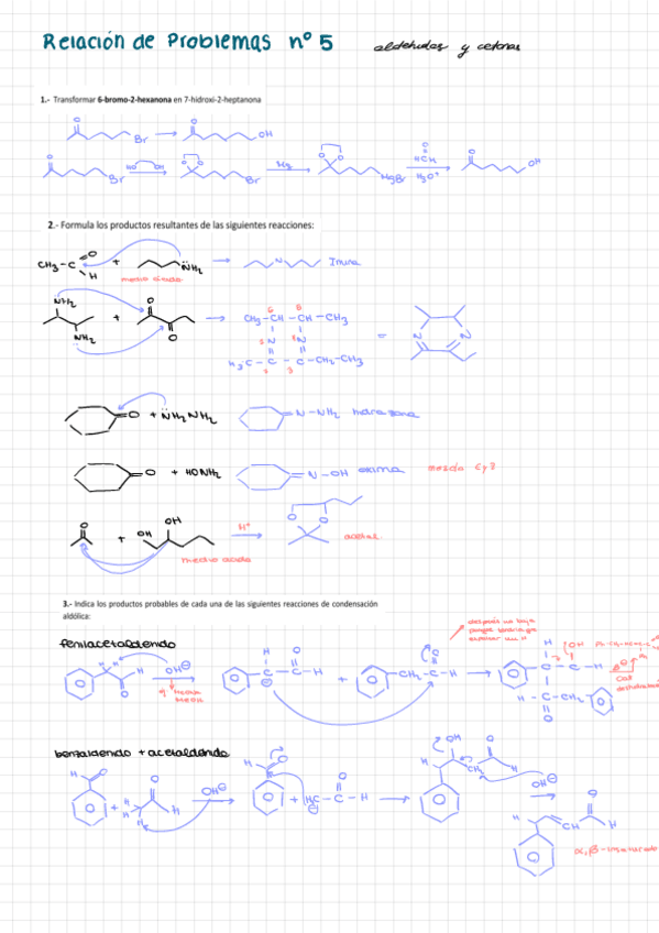 Miniatura del documento Relacion-no-5.-Aldehidos-y-cetonas-Ana-Conejo.pdf