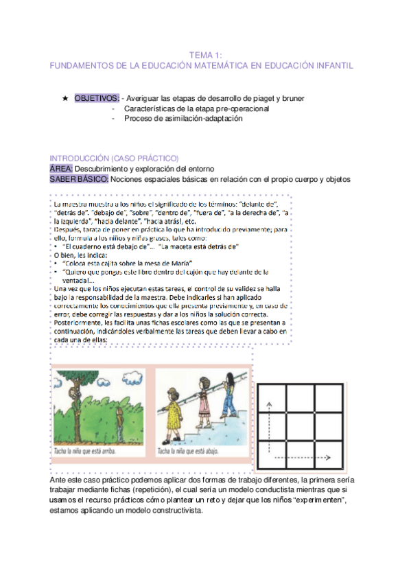 Miniatura del documento TEMA 1. Desarrollo pensamiento matemático.pdf