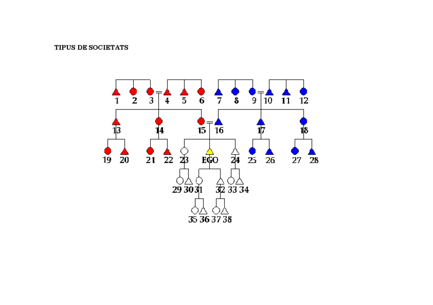 Miniatura del documento Diagrames-Parentiu.pdf