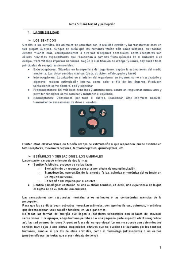 Miniatura del documento Tema-5-Sensibilidad-y-percepcion.pdf