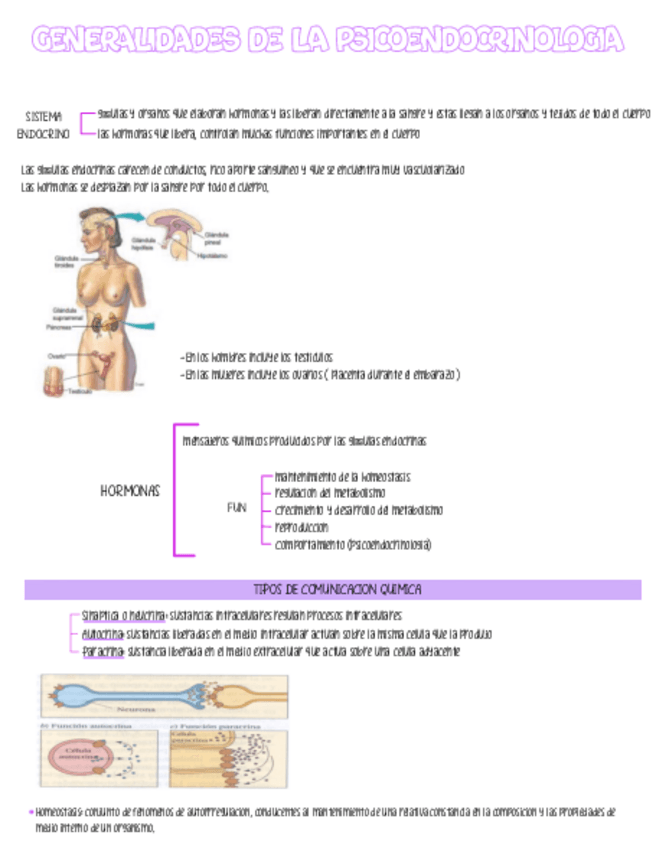 Miniatura del documento FUNDAMENTOS-MORFOLOGICOS.pdf