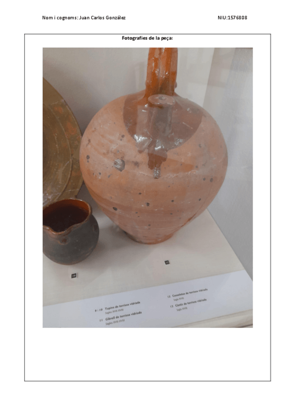 Miniatura del documento Fitxa-omplerta-CANTIR.pdf