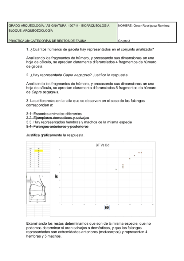 Miniatura del documento Entrega-practica-3B.pdf