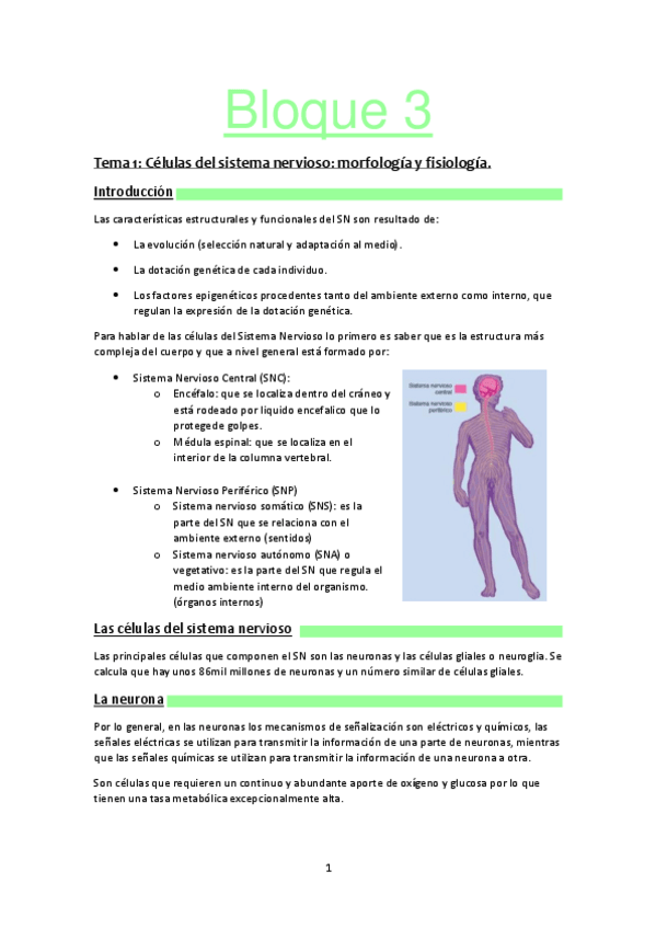 Miniatura del documento Bloque-3-psicobiologia.pdf