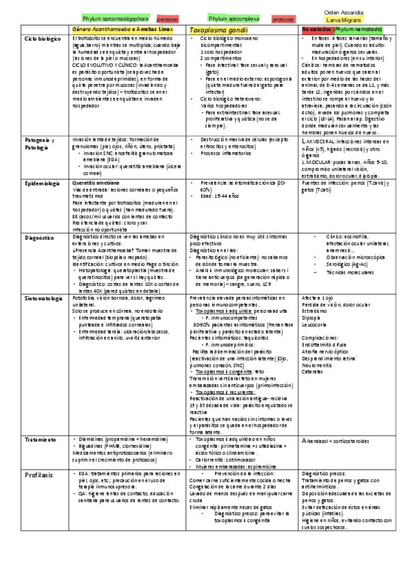 Miniatura del documento Tabla-Seccion-4.pdf
