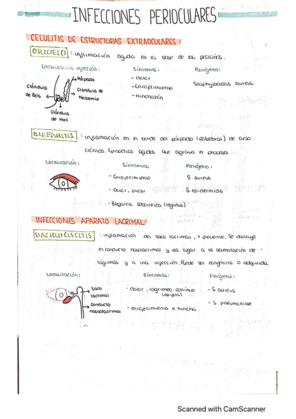 Miniatura del documento esquema-infecciones-perioculares.pdf