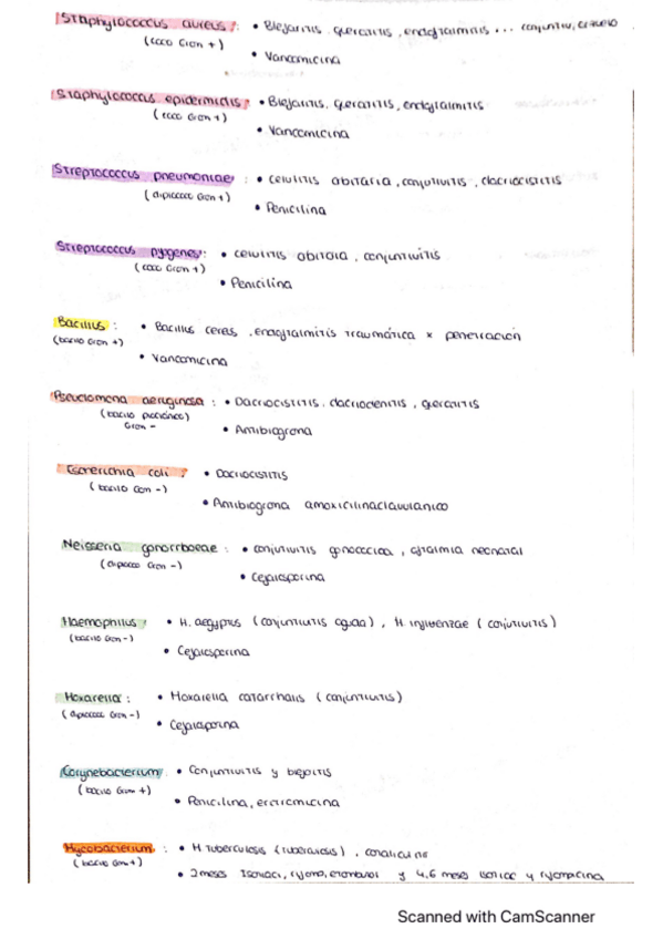 Miniatura del documento esquema-T19-bacterias.pdf