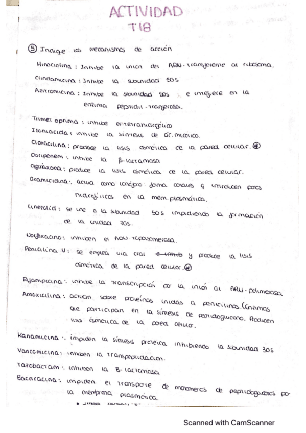 Miniatura del documento actividad-tema-18.pdf