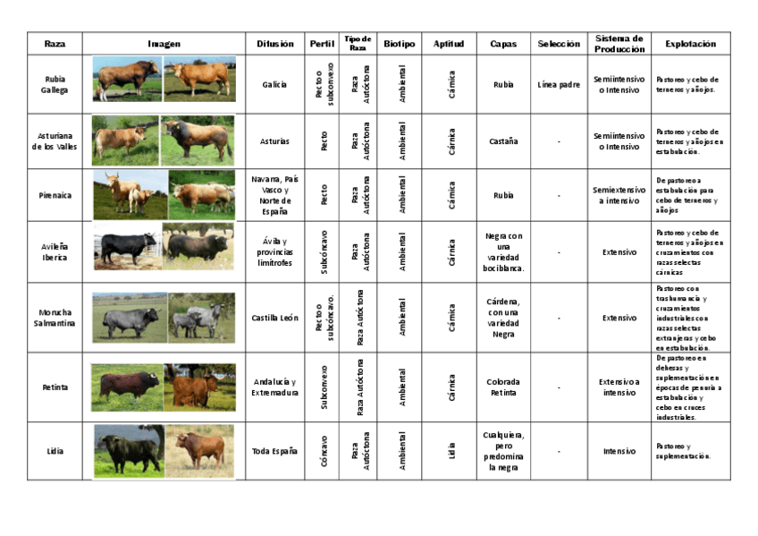 Miniatura del documento Etnologia-Comparada-Bovino.pdf
