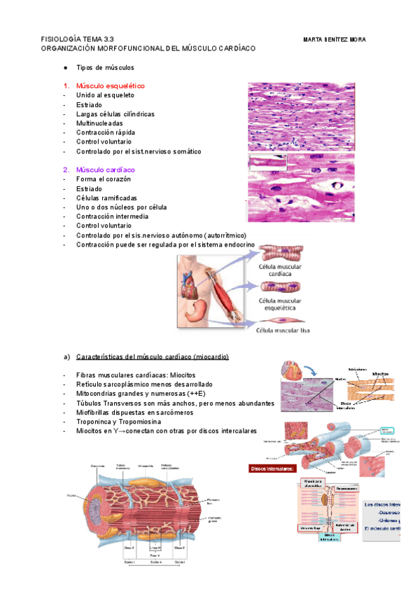 Miniatura del documento FISIOLOGIA-TEMA-3.3.pdf
