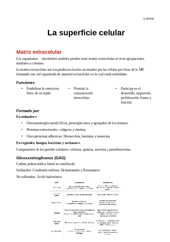 Miniatura del documento Tema-4-resumen-pdf.pdf