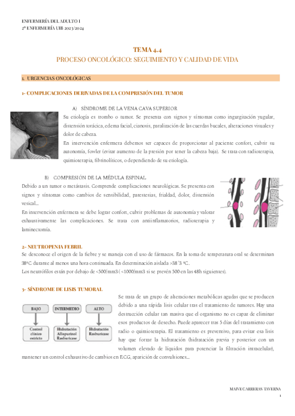 Miniatura del documento TEMA-4.4-ADULTO-1.pdf