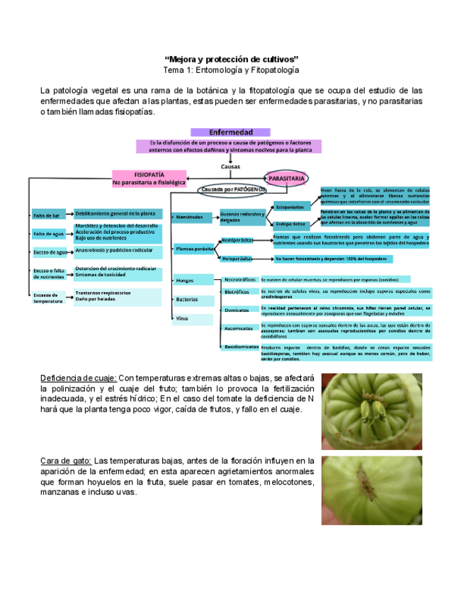 Miniatura del documento TEMA-1-Mejora-y-proteccion-Tema-1-con-Mila.pdf