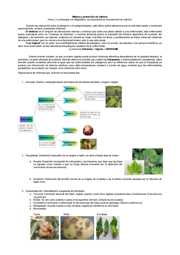 Miniatura del documento Temas-2-Mejora-y-prtoeccion-con-Mila.pdf