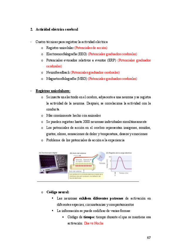 Miniatura del documento Tema-3B-Neuropsicología.pdf