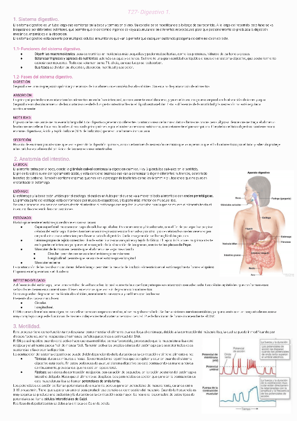 Miniatura del documento T27-Digestivo-1231127195113.pdf