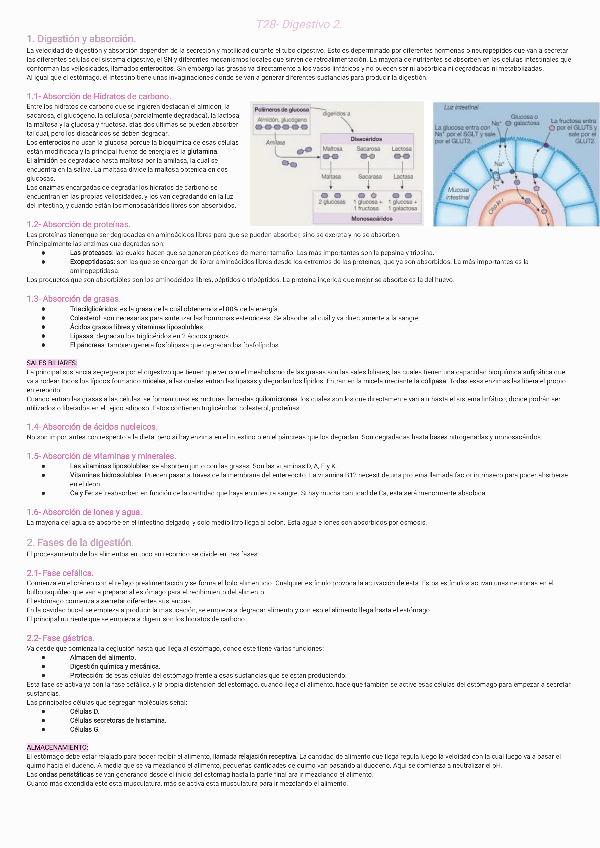 Miniatura del documento T28-Digestivo-2231128101038.pdf