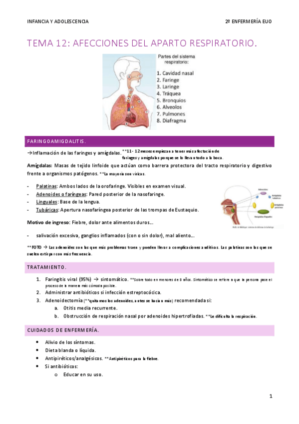 Miniatura del documento Tema-12-Infancia-y-adolescencia-modificado.pdf