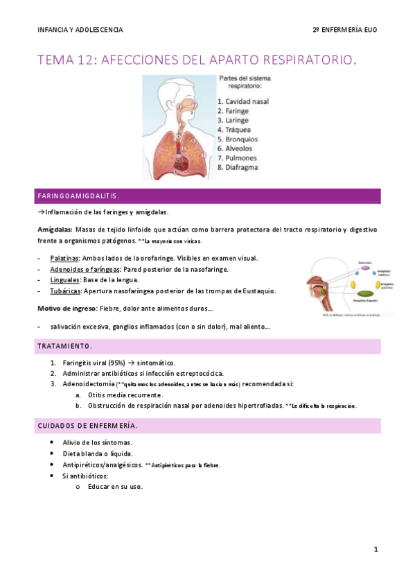 Miniatura del documento Tema-12-Infancia-y-adolescencia-con-modificaciones.pdf