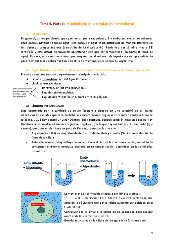 Miniatura del documento Tema-6.-Parte-II-Psicobiologia-de-la-regulacion-hidromineral.pdf