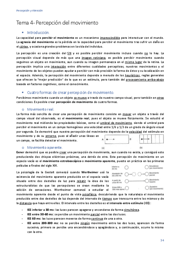 Miniatura del documento Tema-4-Percepcion-del-movimiento.pdf