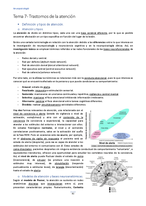 Miniatura del documento Tema-7-Trastornos-de-la-atencion.pdf