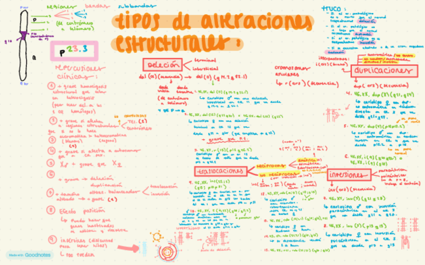 Miniatura del documento SEMINARIO-HERENCIA-3.pdf