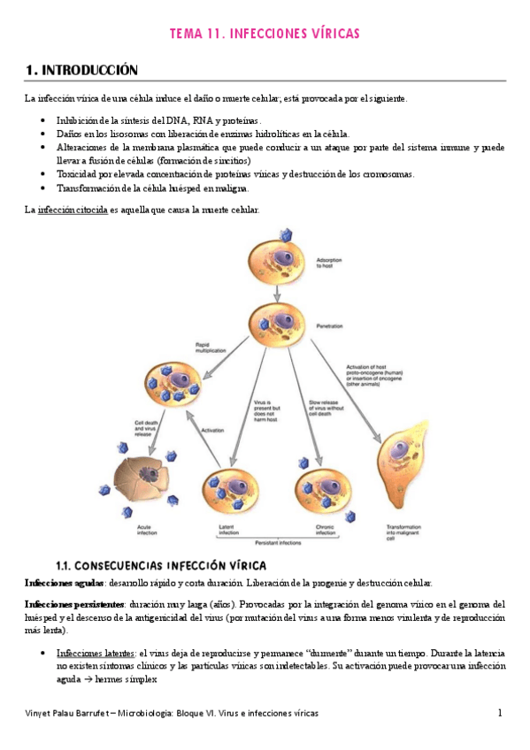 Miniatura del documento MICROBIOLOGIA.-Tema-11.pdf