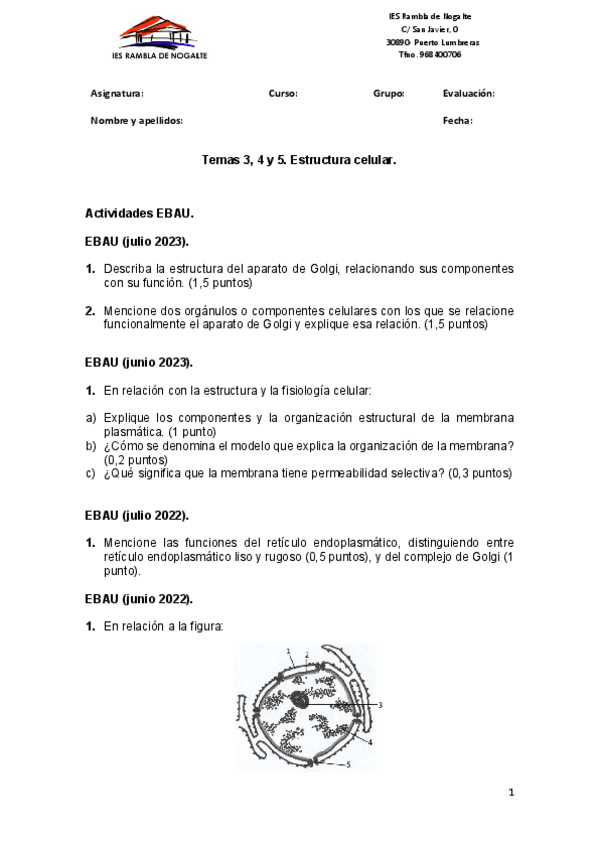 Miniatura del documento Estructura-celular.-Actividades.pdf