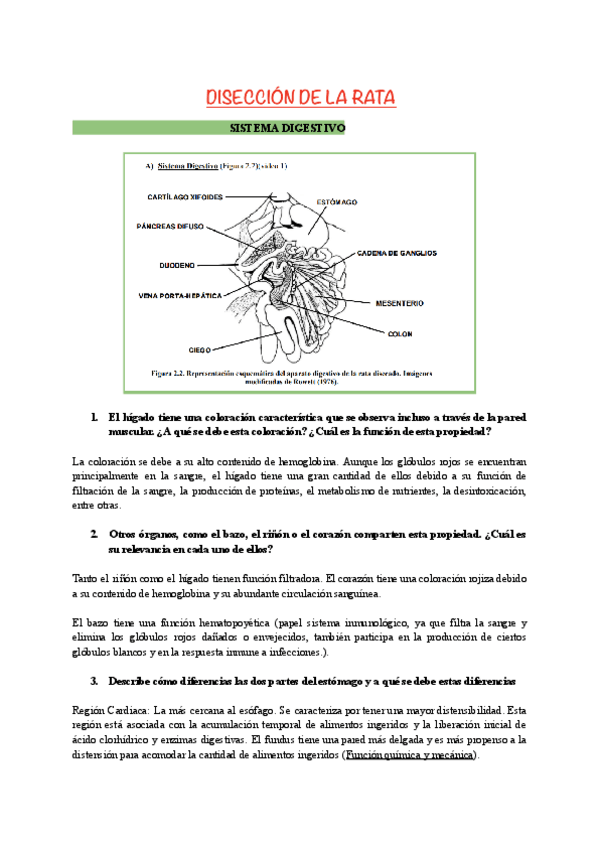 Miniatura del documento Diseccion-de-la-rata.pdf