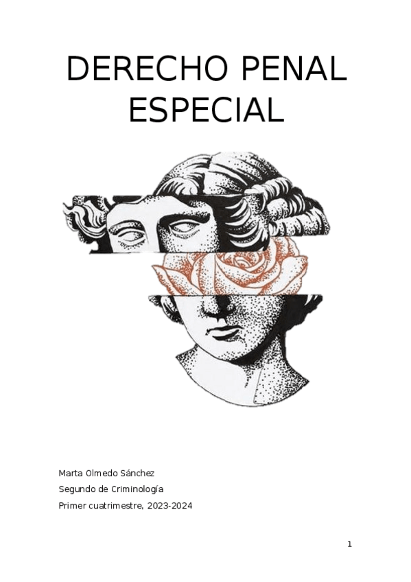 Miniatura del documento Apuntes-COMPLETOS-derecho-penal.docx