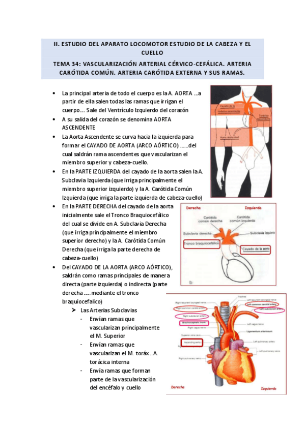 Miniatura del documento TEMA-34.pdf