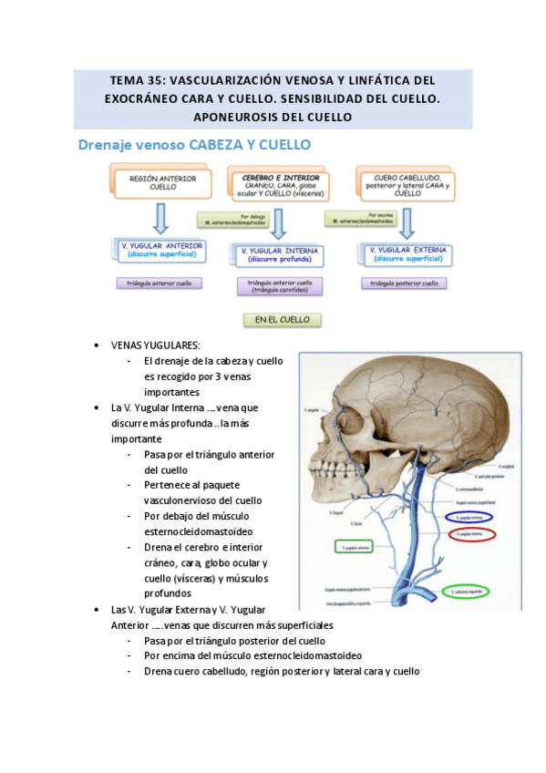 Miniatura del documento TEMA-35.pdf