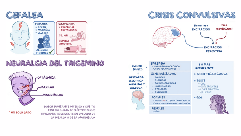 Miniatura del documento Revision-neurologia.pdf