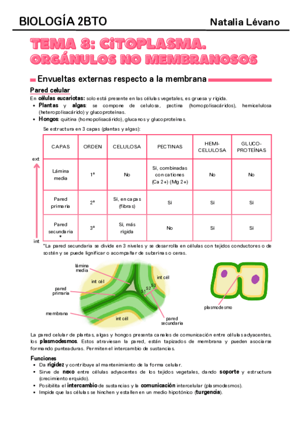 Miniatura del documento Tema-8-citoplasma-organulos-no-membranosos.pdf