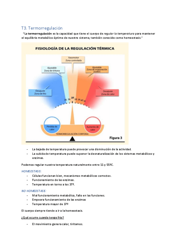 Miniatura del documento T3.-Termorregulacion.pdf