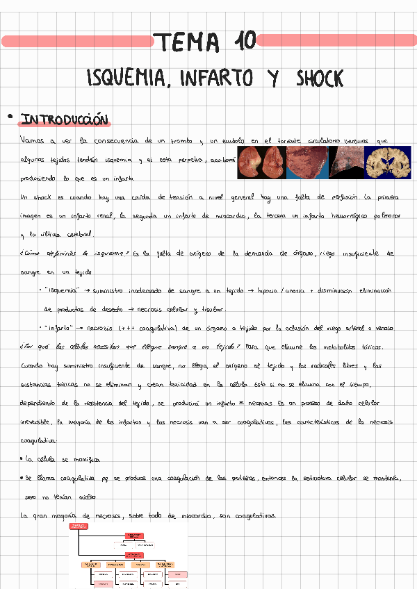 Miniatura del documento TEMA-10-AMATOMIA-PATOLOGICA.pdf