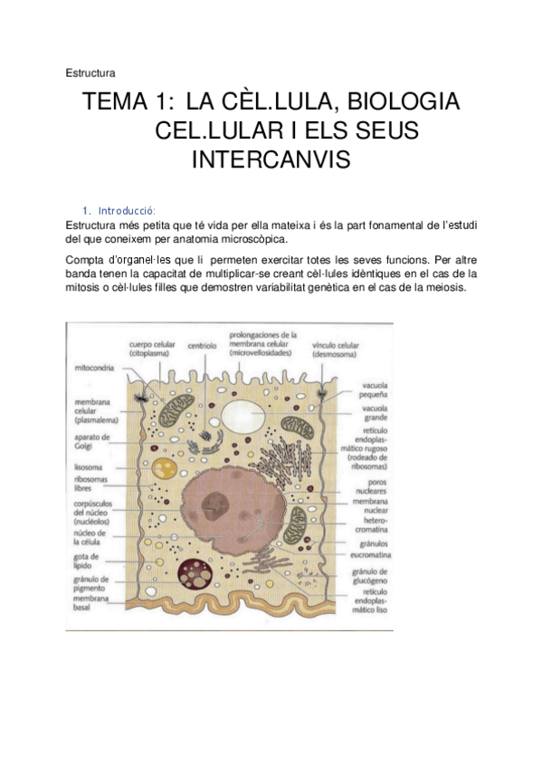 Miniatura del documento Estructura-parcial-1.pdf