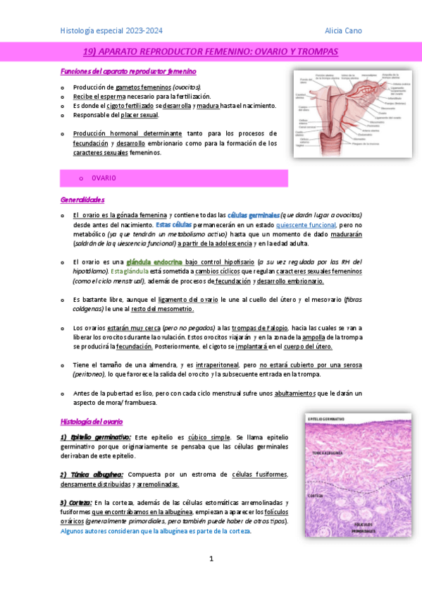Miniatura del documento Aparato-reproductor-femenino.pdf