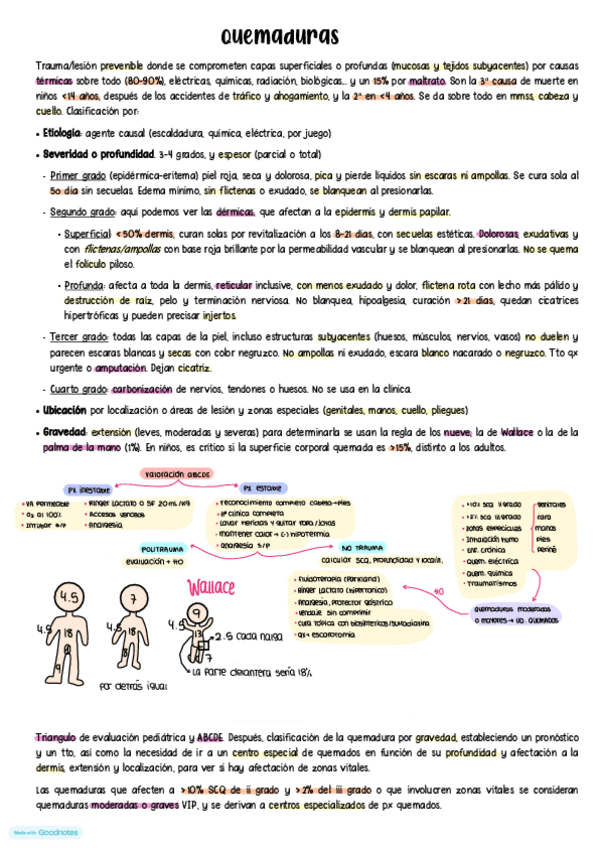 Miniatura del documento Quemaduras.pdf