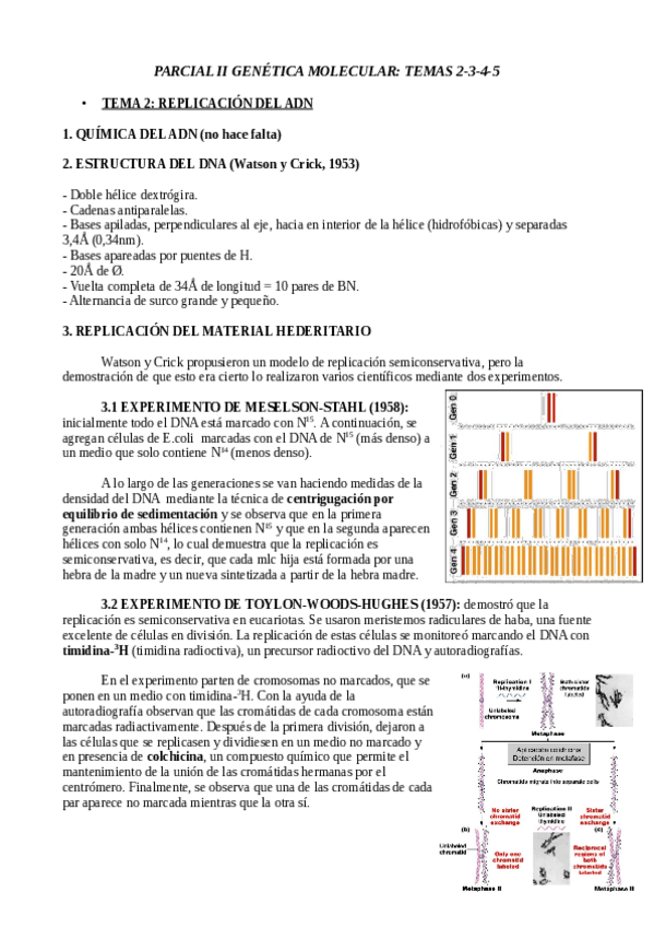 Miniatura del documento TEORIA-PARCIAL-II.pdf