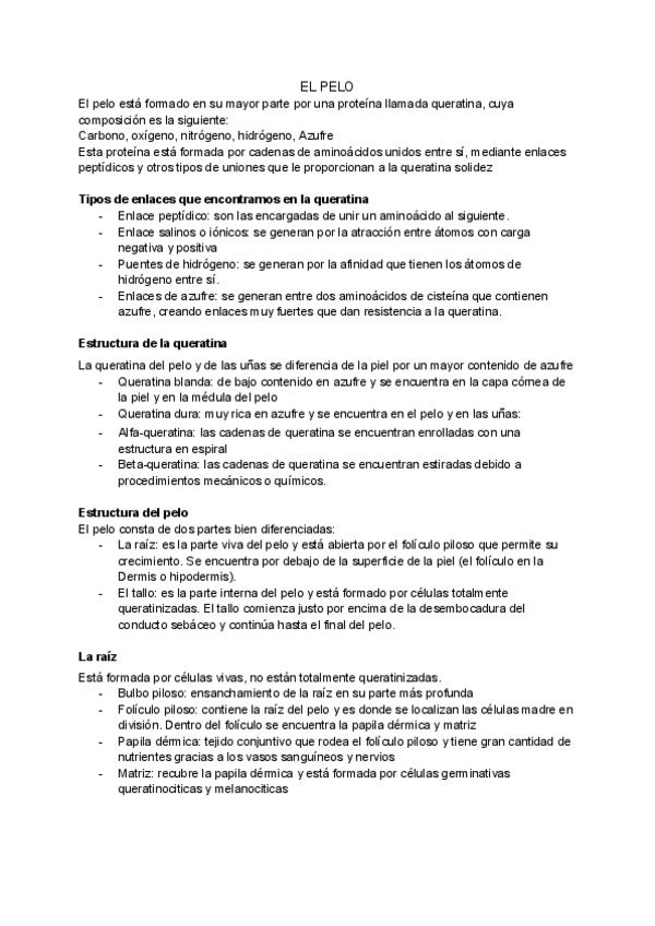 Miniatura del documento Analisis-UNIDAD-2-EL-PELO.pdf