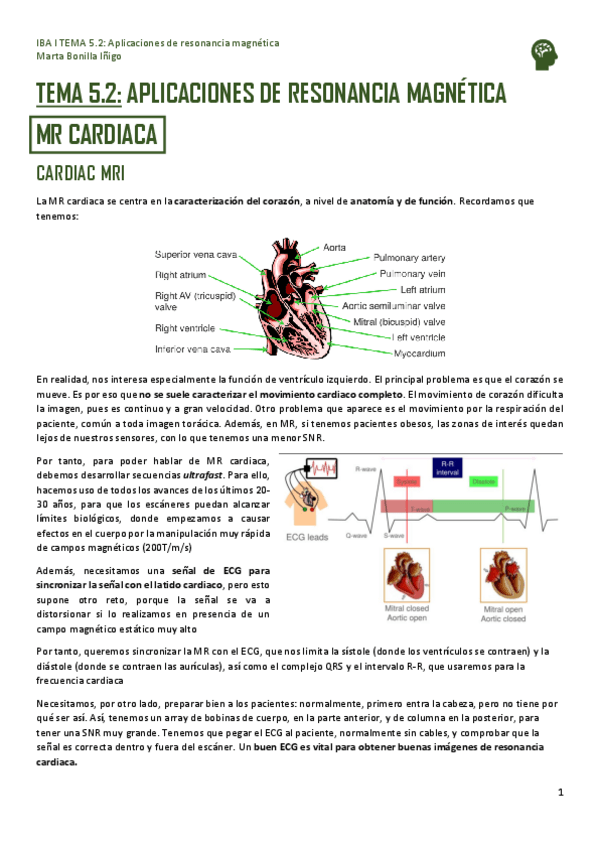 Miniatura del documento IBA-I-TEMA-5.2-APLICACIONES-DE-RESONANCIA-MAGNETICA.pdf
