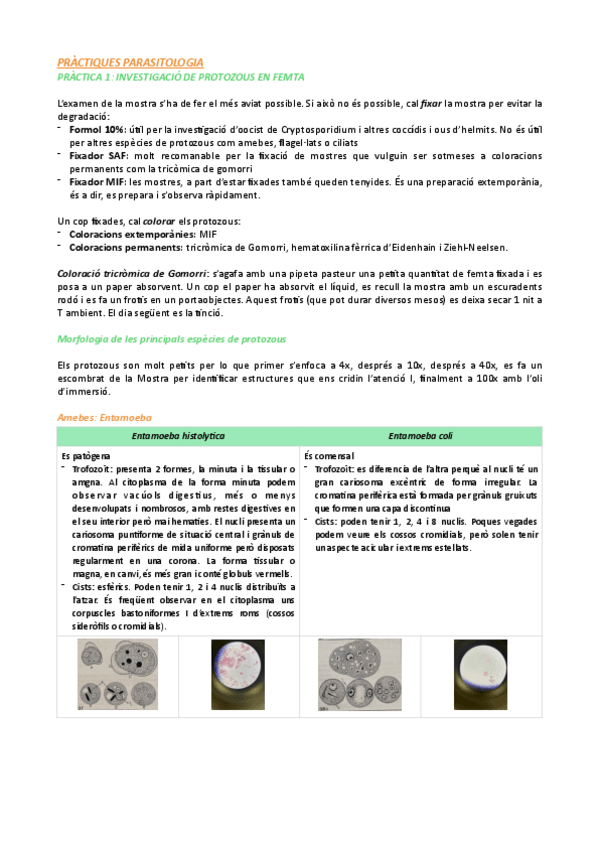 Miniatura del documento Resum-practiques-Parasito.pdf