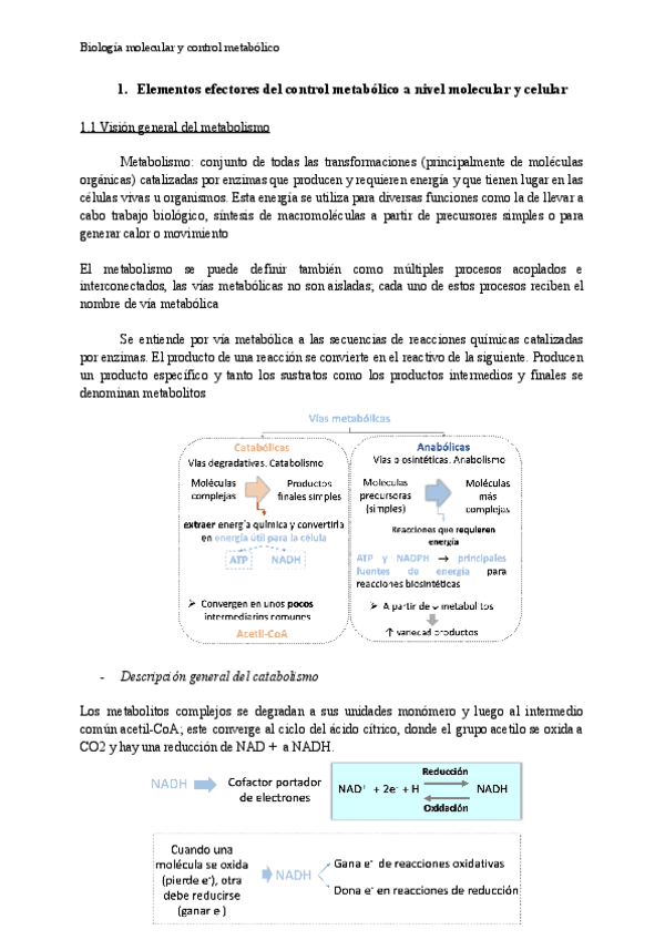 Miniatura del documento Tema-1-BioMol.pdf