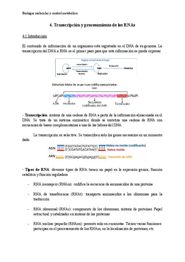 Miniatura del documento Tema-4-BioMol.pdf