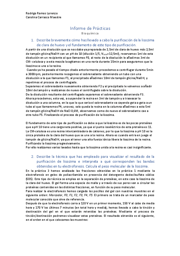 Miniatura del documento Informe-Practicas-Bioquimica.pdf