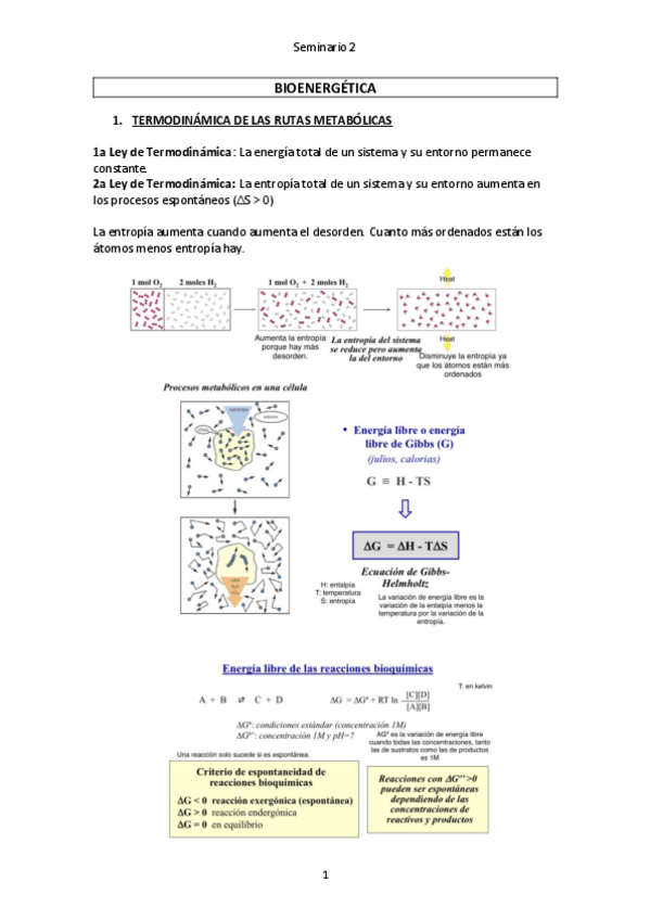 Miniatura del documento Seminario-2.pdf