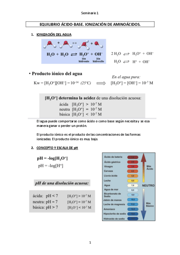 Miniatura del documento Seminario-1.pdf