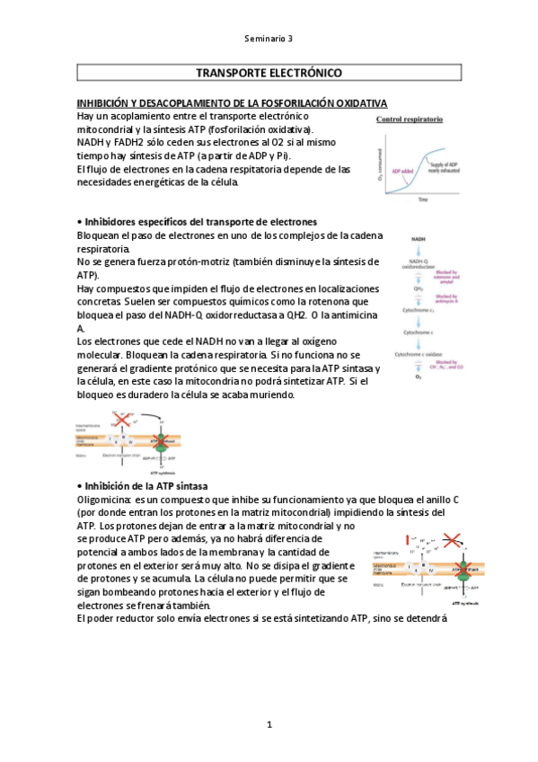 Miniatura del documento Seminario-3.pdf